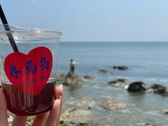 -养马岛旅游度假区