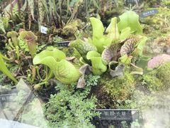 -国家植物园南园