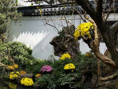 景点-汇龙潭