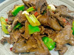 -龙小海荆沙鸽子店(瑞安街店)