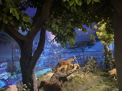 -国家自然博物馆