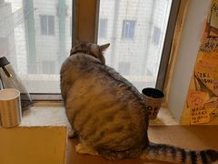 -H立方实景剧情密室(天河旗舰店)