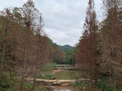 -云溪植物园