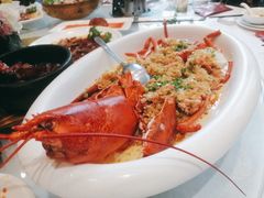 波龙-嘉逸传菜(洛川东路店)