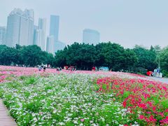 -海心沙亚运公园
