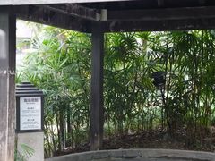 -融汇温泉