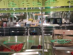 -油梨树AVOCADO TREE(望京店)