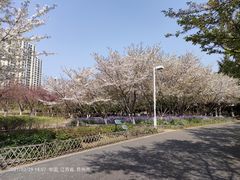 -白塘生态植物园