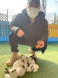 -萌宠亲子动物乐园(槐房万达店)