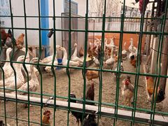 -鱼窝棚柴火铁锅炖(富山屯店)