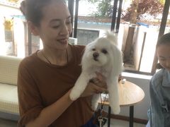 -翊宠yipet猫狗购宠庄园犬舍•猫舍