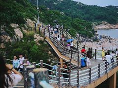 -广东惠东海龟国家级自然保护区