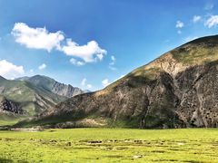 -祁连山草原