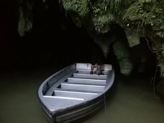 -怀托摩萤火虫洞