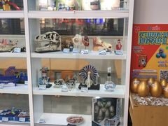 -斯坦星球AI编程·机器人科创·科学实验·信奥·思维·STEM·积木拼搭·竞赛考级(长宁虹桥大融城荟聚中心)