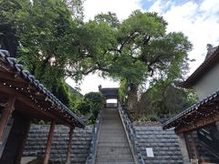 -北山公园