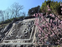 -重庆园博园