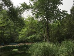 -白水寺森林公园