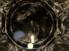 -大聖·精酿啤酒&火烧鸡(市南路店)