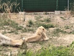 -新疆天山野生动物园