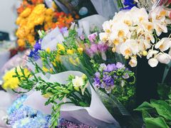 -花鸟鱼虫鲜花绿植市场(玉泉路店)