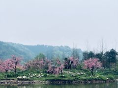 -常德桃花源景区