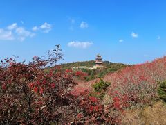 -泰山风景名胜区