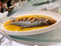 招牌酒酿蒸鲥鱼-海逸海鲜酒家(古北店)