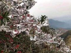 -梅州天地人花园酒店(梅县人民广场店)