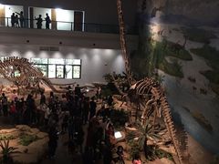 -自贡恐龙博物馆