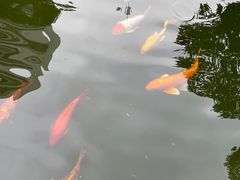 -园林格兰云天大酒店-太极名厨中餐厅