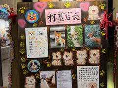 -乌村