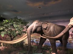 -湖南省地质博物馆