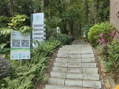 -火炉山森林公园