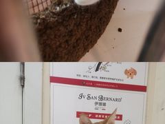 -e嘉宠物店(北大街店)