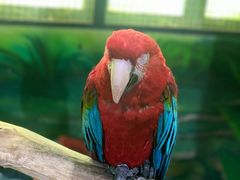 -海合安武汉极地海洋公园