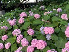 -常州古运河南大街文化旅游区-人民公园