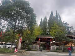 -青城甲(青城山店)
