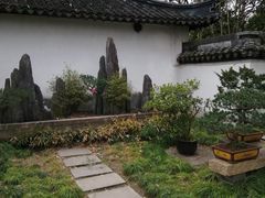 -上海醉白池公园