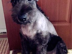 -天津水晶宫饭店