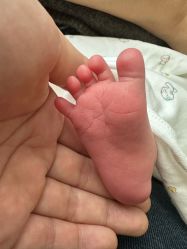 -禧月荟S月子中心(侨城店)