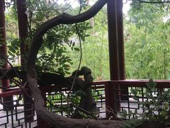 -皇家御河游(紫御湾码头)