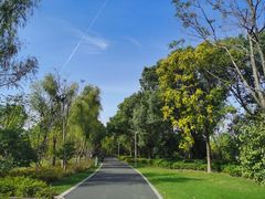 -昆山城市生态森林公园