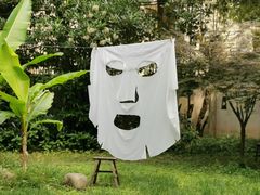 -胶囊画廊