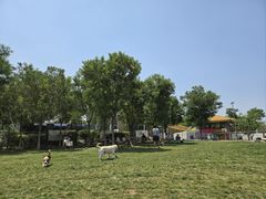 -爪吧宠物乐园 (温榆河示范区店)