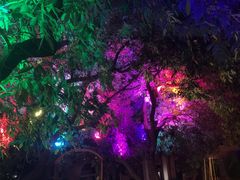 -爵士花园音乐酒吧餐厅