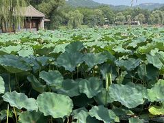 -承德避暑山庄景区