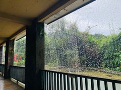 -亚龙湾热带天堂森林公园