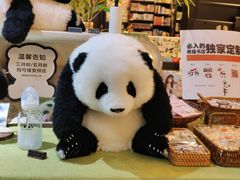 -轩客会(熊猫书店)