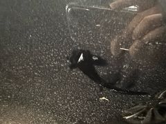 -上海玛雅海滩水公园